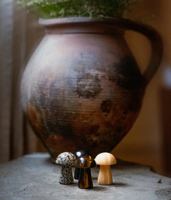 Image of Gua-shroom