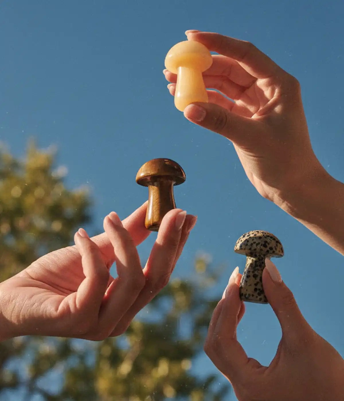 Gua-shroom